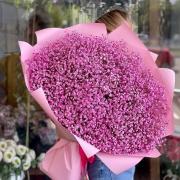 Букет рожевої гіпсофіли, 25 шт