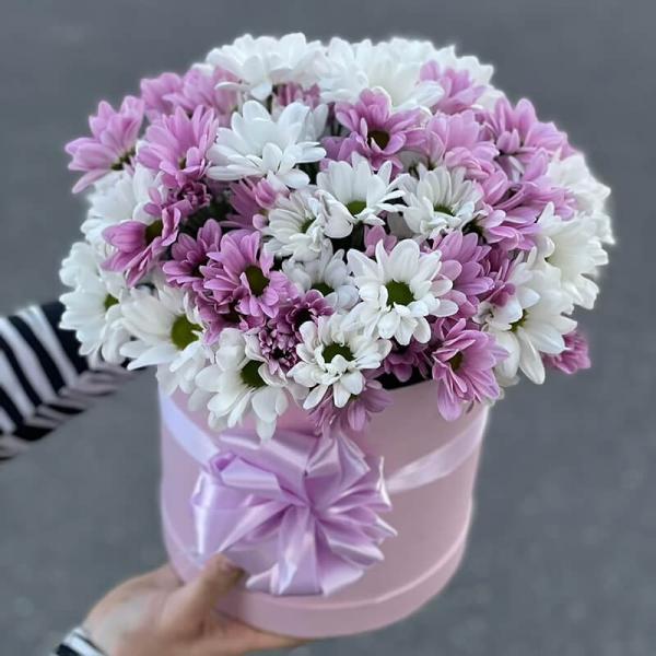 Композиция из 19 хризантем микс в коробке