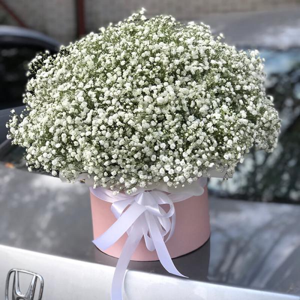 Коробка белой гипсофилы, 25 шт