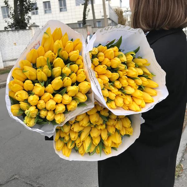 Тюльпан жёлтый Strong Gold