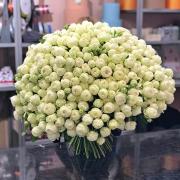 75 шт белых роз Сноу Ворлд, 70 см