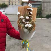 Букет из хлопка и колосков