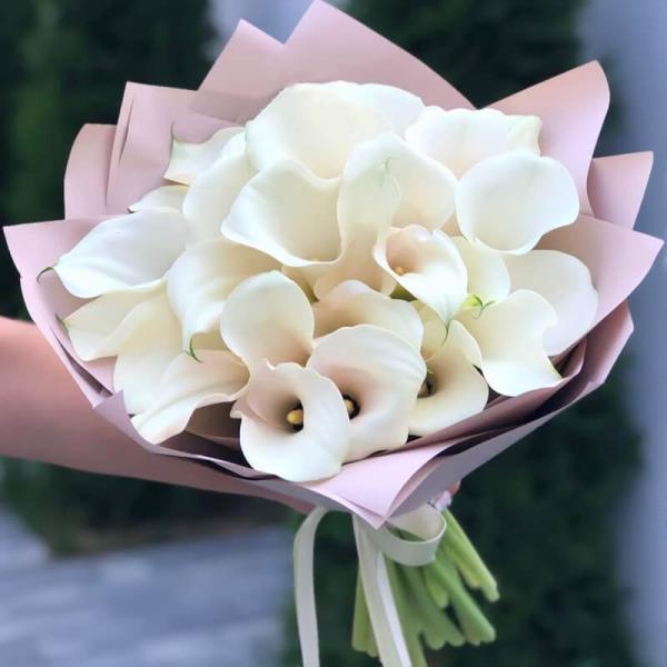 Букет 25 белых калл