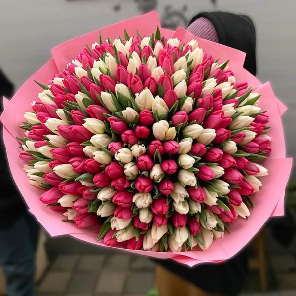 Букет 301 тюльпан мікс