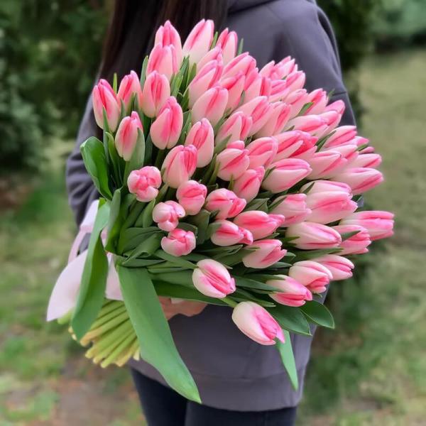 51 рожевий тюльпан зі стрічкою