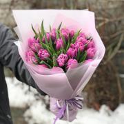 Букет 25 лавандових махрових тюльпанів