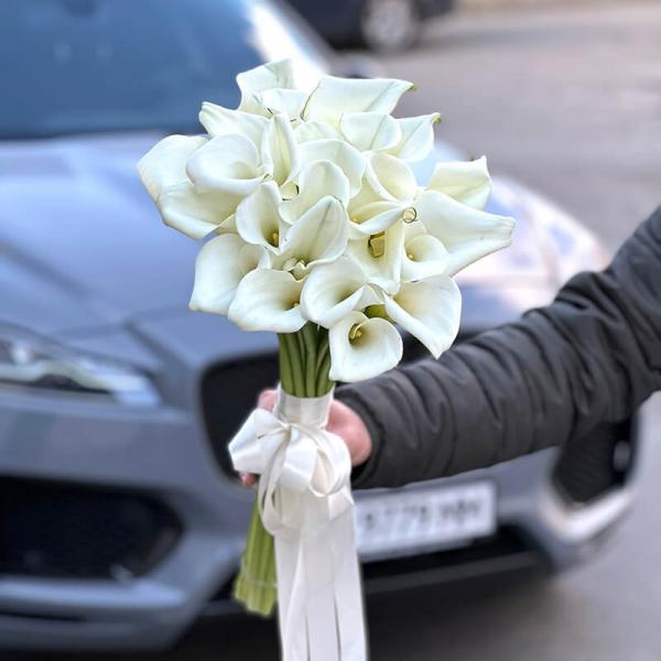 Букет из 25 белых калл с лентой