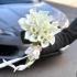 Букет из 25 белых калл с лентой