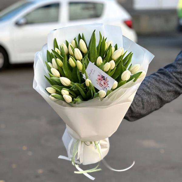 Букет из 35 белых тюльпанов