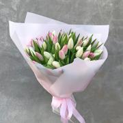 Букет из 51 белого и розового тюльпана 
