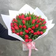 Букет из 51 красного тюльпана