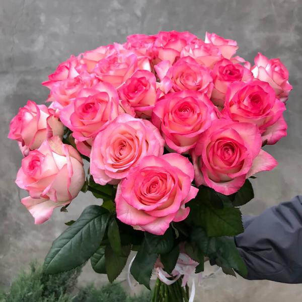 Букет из 25 розовых роз Джумилия, 70 см