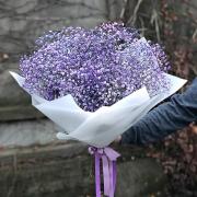 Букет из цветной гипсофилы