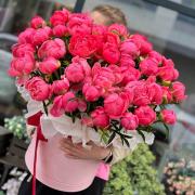 Композиция 51 коралловый пион в коробке