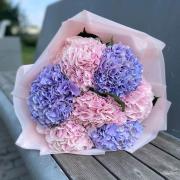 Букет из 7 гортензий микс