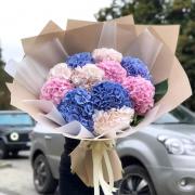 11 голландских гортензий в объемной упаковке