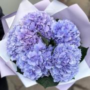 Букет из 5 лавандовых гортензий
