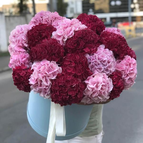 Коробка із рожевих та червоних гортензій, 21 шт