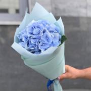 Букет з блакитної гортензії