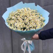 Букет из ромашек, 25 шт, в голубой упаковке