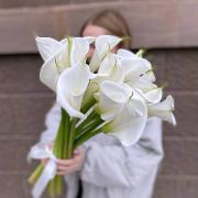 Букет из 19 белых калл