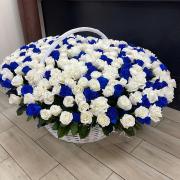 501 бело-синяя роза в корзине