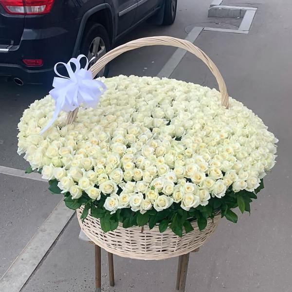 301 біла троянда у кошику