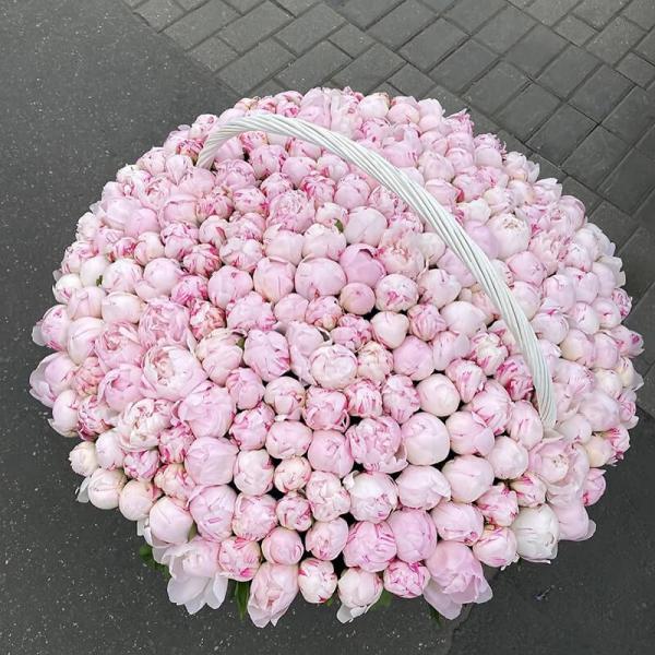 351 рожева півонія у кошику