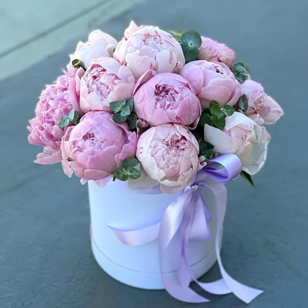 Коробка из 15 розовых пионов и эвкалипта