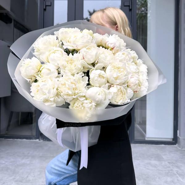 25 кремовых пионов