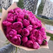 Букет із 25 малинових півоній