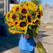 Букет 25 подсолнухов с лентой