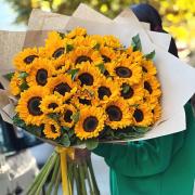 Букет из 31 подсолнуха