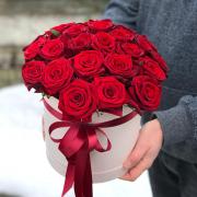 Коробка 25 червоних троянд