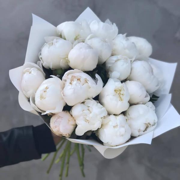Букет из 19 белых пионов